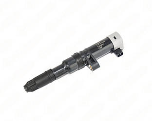Котушка запалювання на Renault Megane III 2009 ->2016 1.6 16V — Delphi - CE20014-12B1