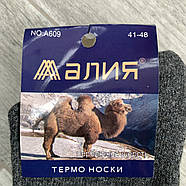 Шкарпетки чоловічі термо махрові верблюжа вовна без гумки Алія, розмір 41-48, асорті, 609-2, фото 4