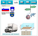 Вантажні перевезення з Целє в Целє разом з Logistic Systems, фото 5