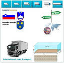 Вантажні перевезення з Целє в Целє разом з Logistic Systems, фото 7