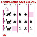 Сухий корм Royal Canin EXIGENT SAVOUR для дорослих кішок вибагливих до їжі 400 г (3182550717120), фото 6