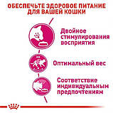 Сухий корм Royal Canin EXIGENT SAVOUR для дорослих кішок вибагливих до їжі 400 г (3182550717120), фото 3