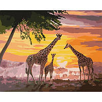 Набор для росписи по номерах "Семья жирафов" 40х50см Сложность 5 из 5.