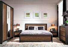 Шафа Лорен SZF4D БРВ 2200x2085x585мм венге магія + монтеверде, фото 3