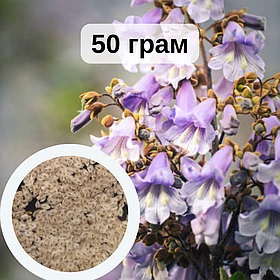 Павлонія войлочна насіння 50 грамів (приблизно 200 000 шт) для саджанців + інструкція + подарунок
