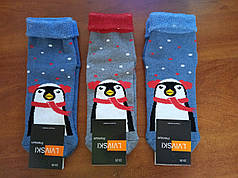 Шкарпетки жіночі махра Королівський пінгвін