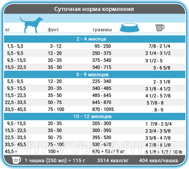 Каталог товаров Internet Magazin VSE