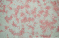 Ткань ручного окрашивания размер 76х49см основа канва Аида 14 каунт цвет "розово-голубой"