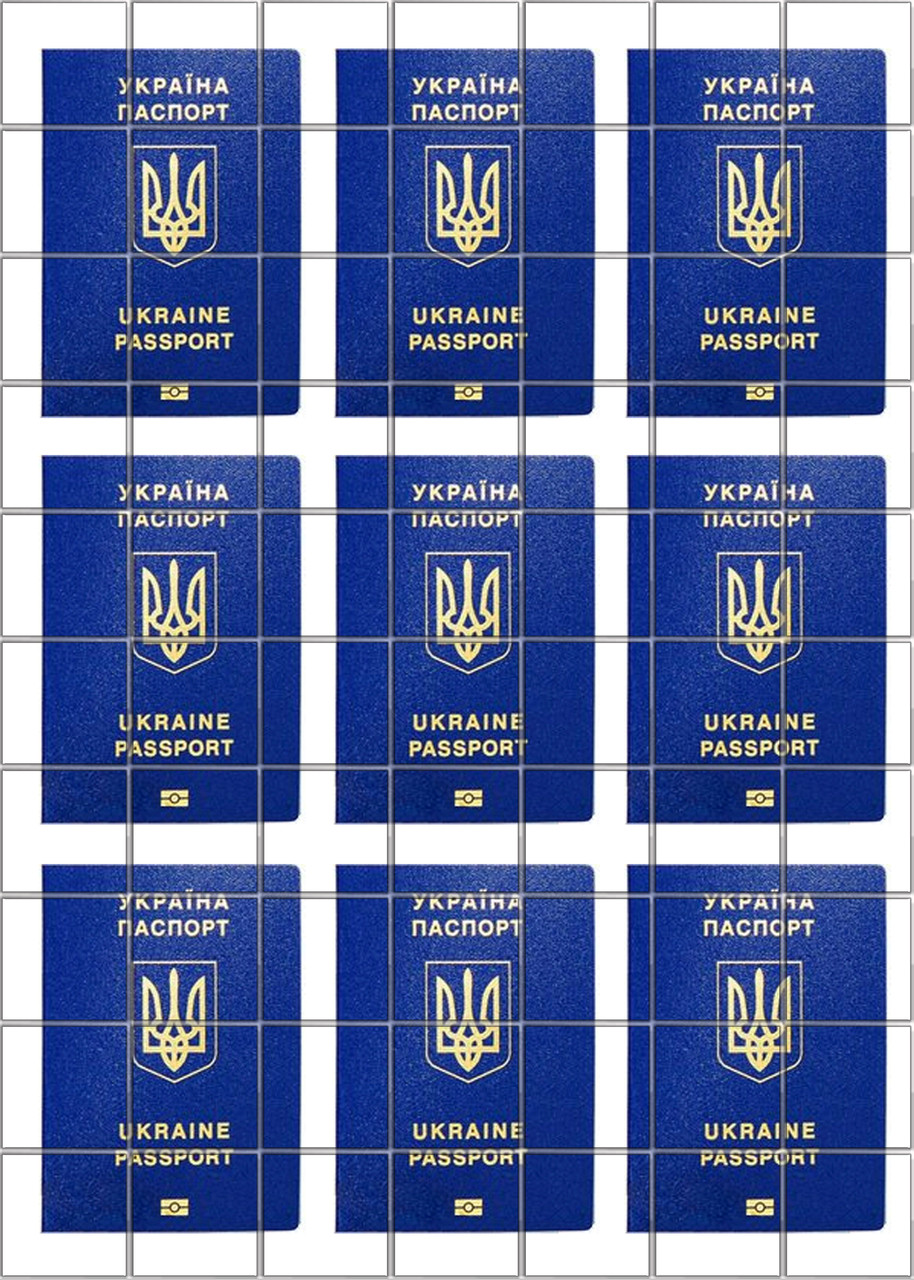 Картинка на Торт - Паспорт — Купить Недорого на Bigl.ua (1717937665)