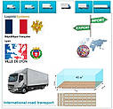 Вантажні перевезення з Ліона в Ліон разом з Logistic Systems, фото 6