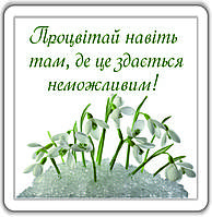 Магніт: Процвітай там, де це здається неможливим! 6х6см #79