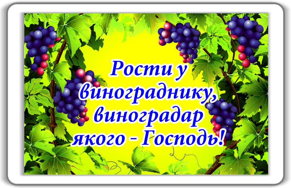 Магніт: Рости у винограднику... 7х4,5см #89