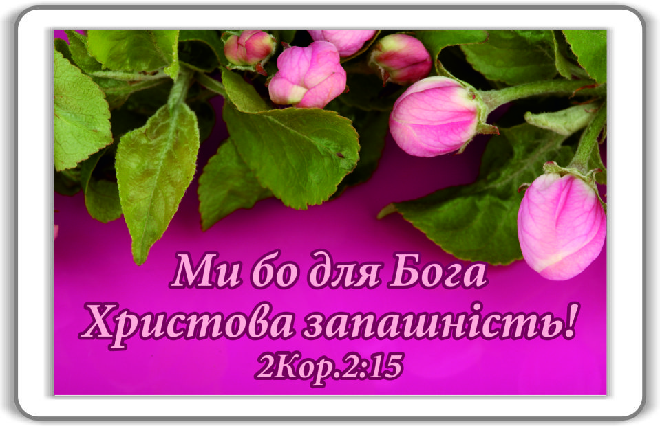Магніт: Ми бо для Бога Христова запашність. 7х4,5см #91, фото 1