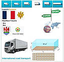 Вантажні перевезення з Ніцци в Ніццу разом з Logistic Systems, фото 6