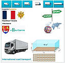 Вантажні перевезення з Віллербанна у Віллербанн разом з Logistic Systems, фото 6
