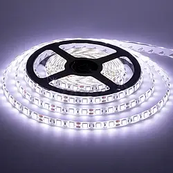 Led стрічка "REN" 6400K (холодний білий) 12 V ціна за 1 м вологозахищена IP-65 світлодіодна "Horoz Electric"