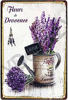 Металлическая декоративная картина Fleurs de Provence (20х30 см)