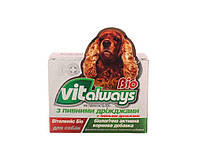 Виталвейс-био (бад) собака №100 табл блистер с пивн. дрожж. блистер ТМ O.L.KAR BP