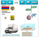 Вантажні перевезення з Єревана у Єреван разом з Logistic Systems., фото 5