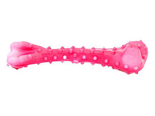 Аксесуари для тварин