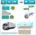 Вантажні перевезення з Нур-Султана у Нур-Султан разом з Logistic Systems., фото 6