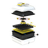 Інкубатор Теплуша Euro 88 ТАВ 220/50 комбінований корпус український теромегулятор! Новинка!, фото 8