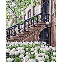 Картина за номерами Strateg Білі тюльпани 40x50 см VA-3244