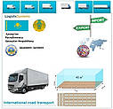 Вантажні перевезення з Шимкента у Шимкент разом з Logistic Systems., фото 6