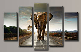Модульна картина на полотні з 5 частин "Слон"