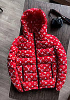 Supreme Мужская короткая стеганая куртка красная с принтом с капюшоном осень/весна Ветровка парка демисезонная