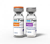 Вакцина Биокан Новел Puppy 1 мл