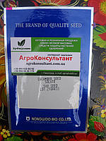 Семена огурца Солют (Абсолют) F1 (NongWoo Bio), 500 семян ультраранний (35 дней), партенокарпический