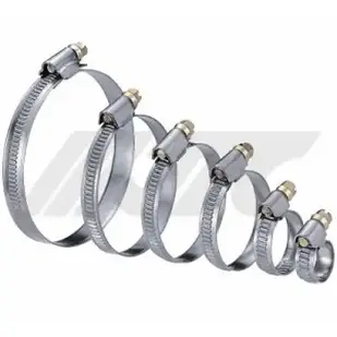 Хомут шланговий (12-22)