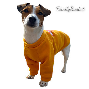 Стиль та комфорт для вашого хвостатика