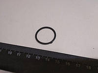 Кольцо уплотнительное мбс к/с 21,5 х 1,9 мм (022-025-19)