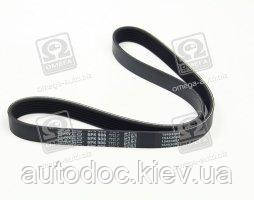 Ремінь поліклін. (вир-во DAYCO), арт.6PK906, фото 1