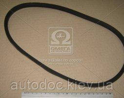 Ремінь А-850 , арт.А-850, фото 1