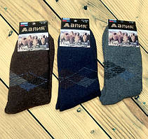 Шкарпетки чоловічі теплі з вовною та на махрі Розміри 39-42 43-36