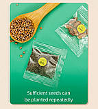 Науковий набір для вирощування розсади Міні-теплиця від Obetty, фото 3