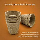 Науковий набір для вирощування розсади Міні-теплиця від Obetty, фото 4