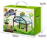 Набір для дослідів Домашня теплиця від Obetty, фото 4