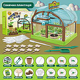 Набір для дослідів Домашня теплиця від Obetty, фото 5