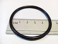 Кольцо уплотнительное мбс к/с 49,0 х 3,0 мм (050-055-30)