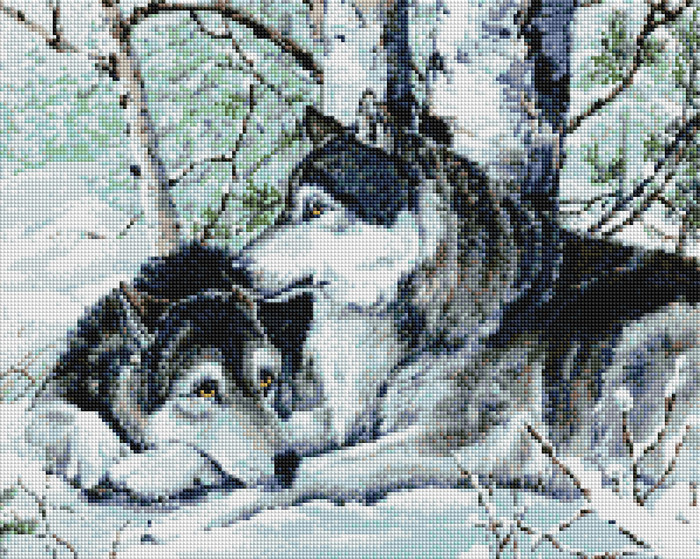 SPR012 Набір діамантової мозаїки на підрамнику 40х50 Вовки на снігу