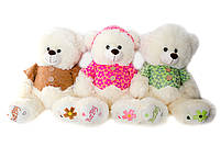 Іграшка мяка "Ведмедик в кофті", мікс, Мягкая игрушка "Мишка" 6802 ТМ "Масяня", фото 3