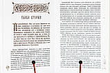 Благодатный путь: Толкование на житие преподобного Нила Калабрийского. Архимандрит Эмилиан (Вафидис)., фото 4