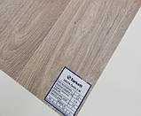Побутовий лінолеум Tarkett Sommer Delta Ostin 2М - ширина 2,5 і 3 і 3,5 і 4 метри, фото 5