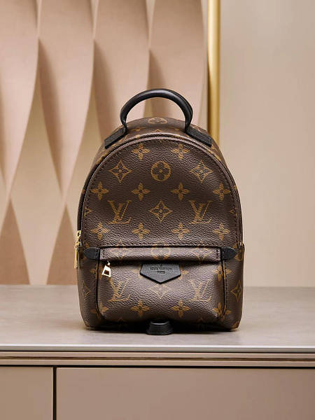 Harga lv palm spring mini hot sale