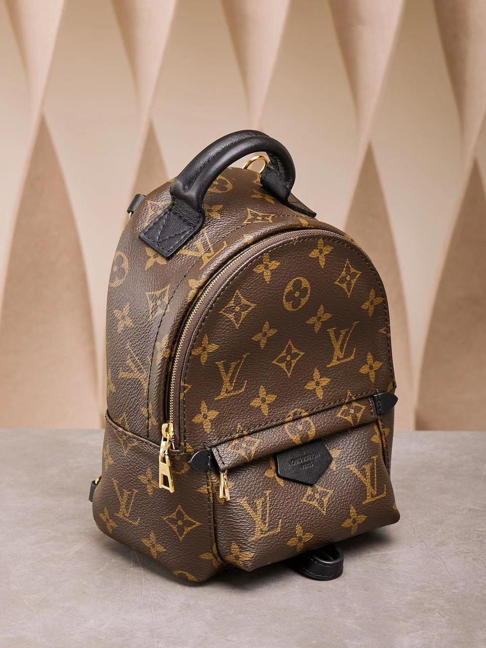 Louis Vuitton Palm Spring Mini