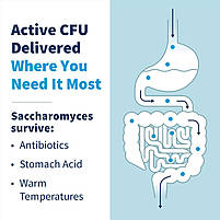 Klaire Labs Saccharomyces Boulardii/Сахономірики Булоарді 120 капс. BX337, фото 3